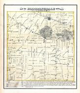 Bloomingdale Township, DuPage County 1874